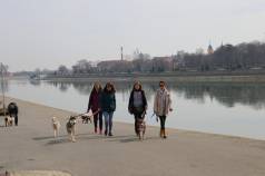 Mini IMG 3400